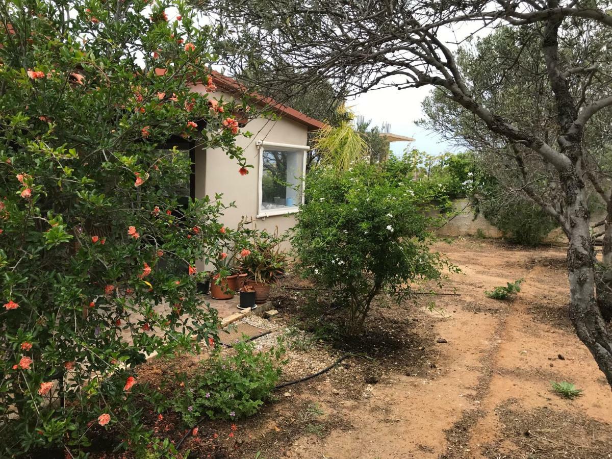 Villa Anni House In Stavros Exterior foto